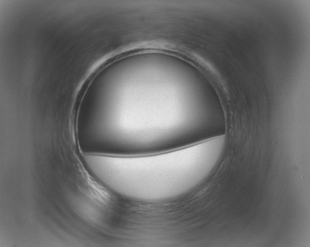 X0000080781272200612151022