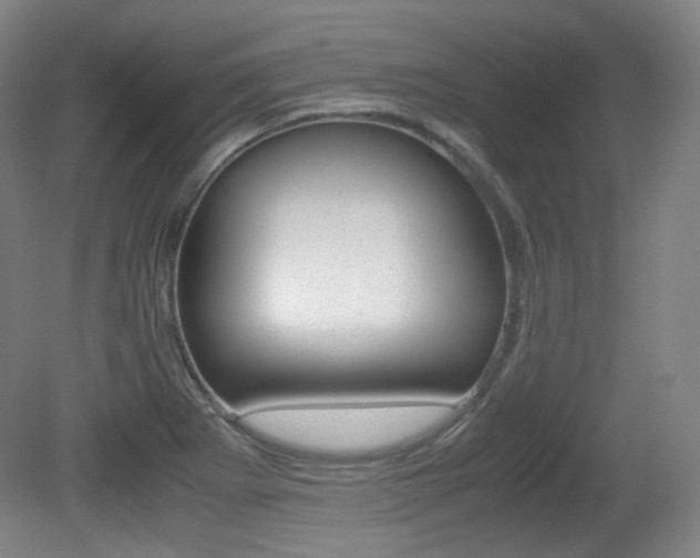 X0000080781273200612151022