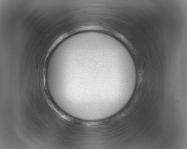X0000080781274200612151022