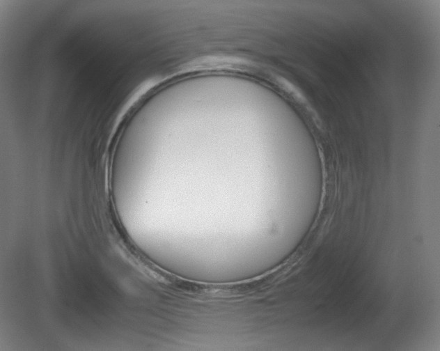X0000080781275200612151022