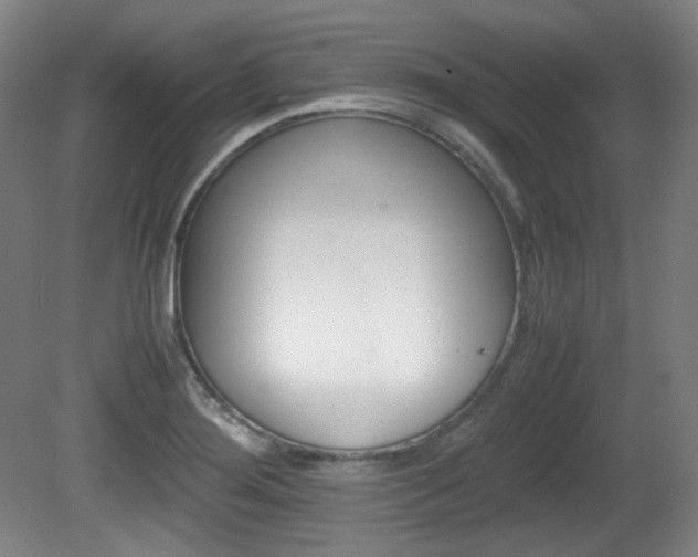 X0000080781276200612151022
