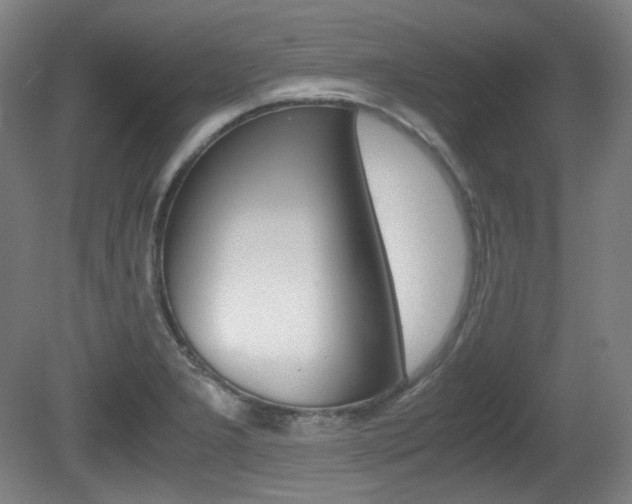 X0000080781277200612151022