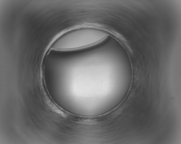 X0000080781280200612151022
