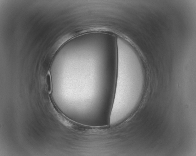X0000080781281200612151022