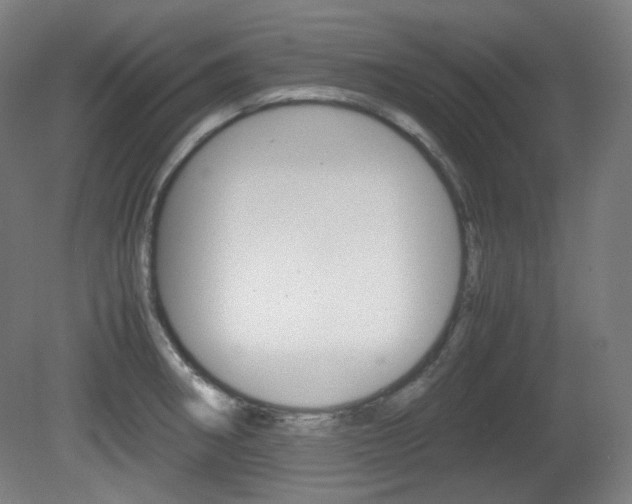 X0000080781282200612151022