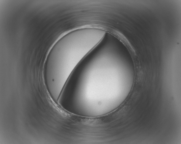 X0000080781284200612151022