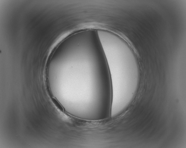 X0000080781285200612151022