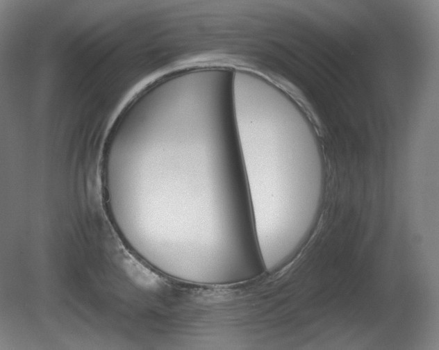 X0000080781288200612151022