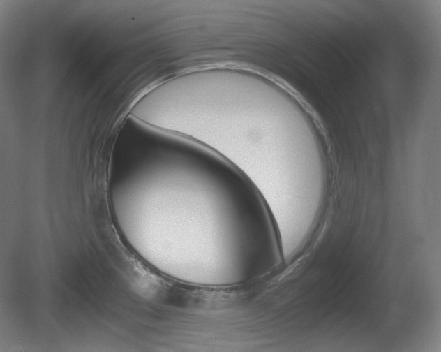 X0000080781289200612151022