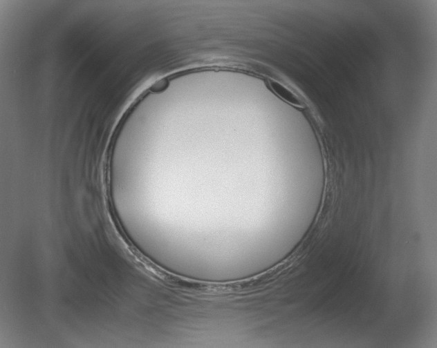 X0000080781291200612151022