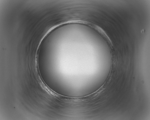X0000080781292200612151022