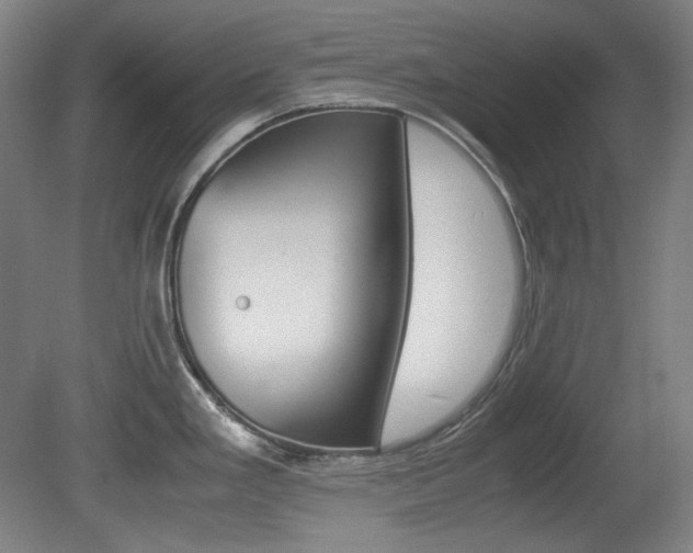 X0000080781293200612151022