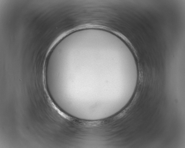 X0000080781294200612151022