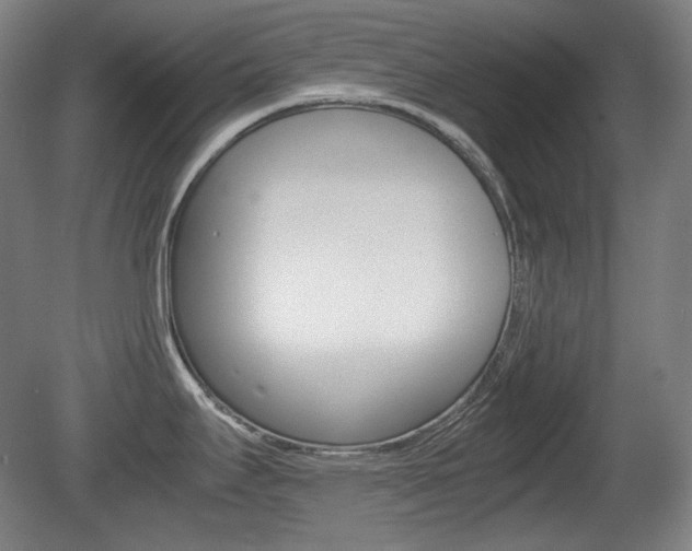 X0000080781295200612151022