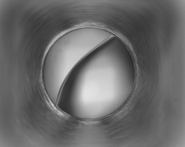 X0000080781296200612151022