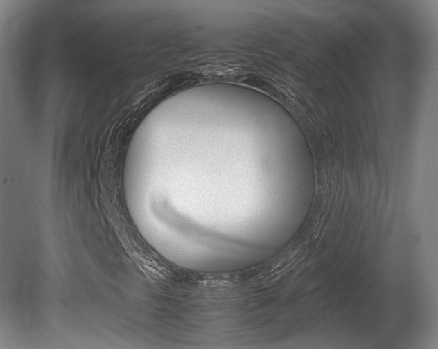 X0000080781297200612151021