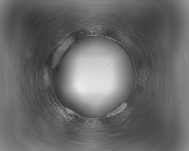 X0000080781298200612151021