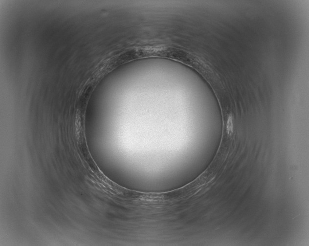 X0000080781299200612151021