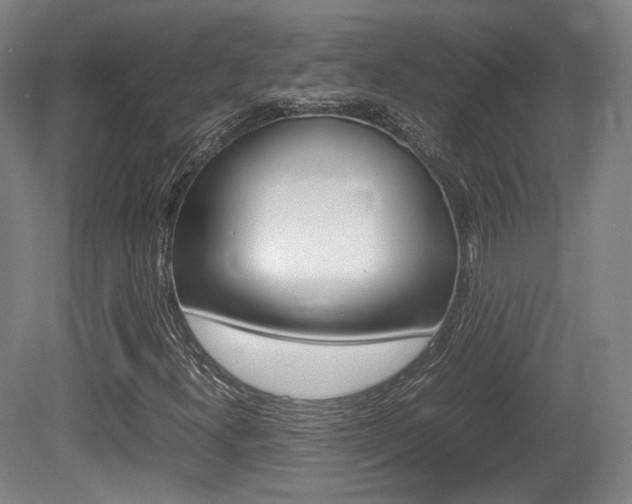 X0000080781300200612151021