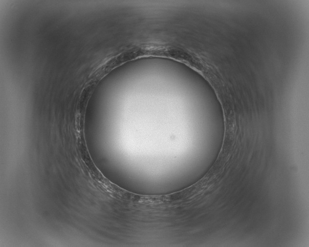 X0000080781301200612151021