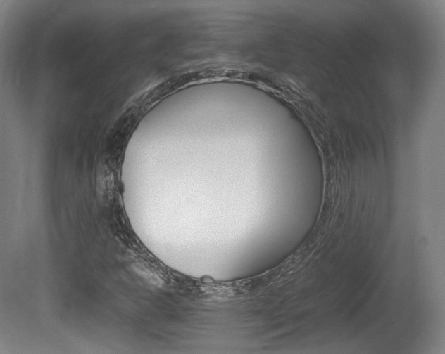 X0000080781302200612151021