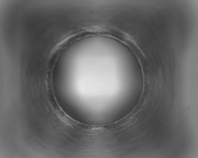 X0000080781304200612151021