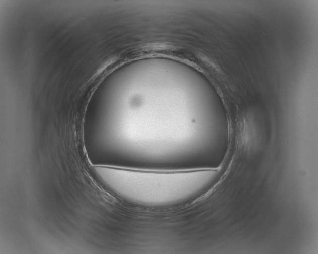 X0000080781305200612151021