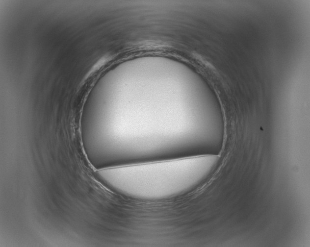 X0000080781306200612151021