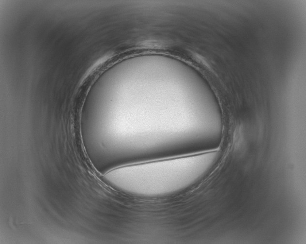 X0000080781307200612151021