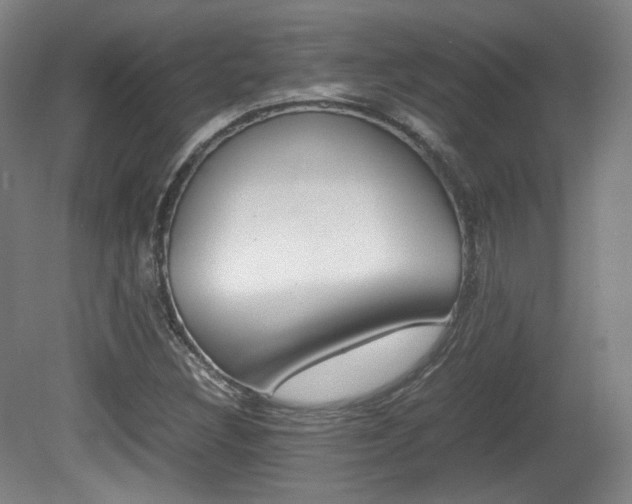 X0000080781308200612151021