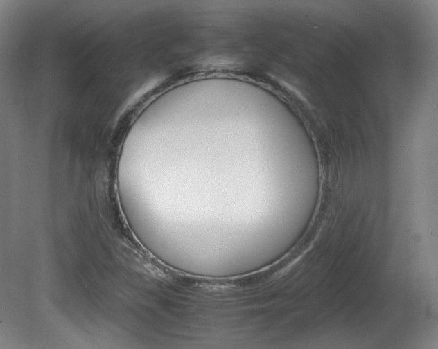 X0000080781309200612151021