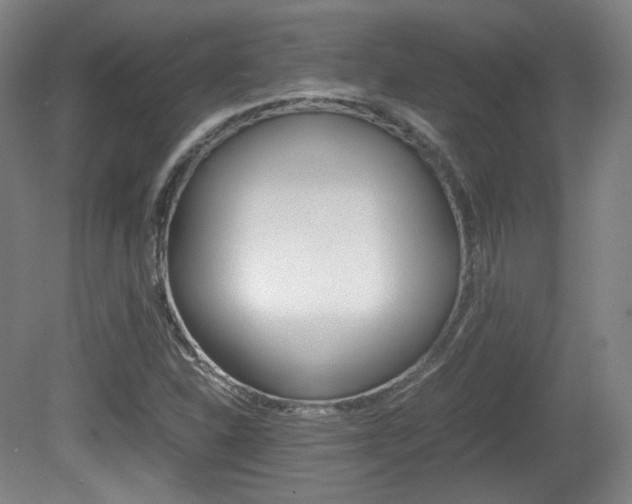 X0000080781310200612151021