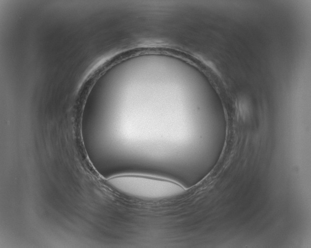 X0000080781311200612151021