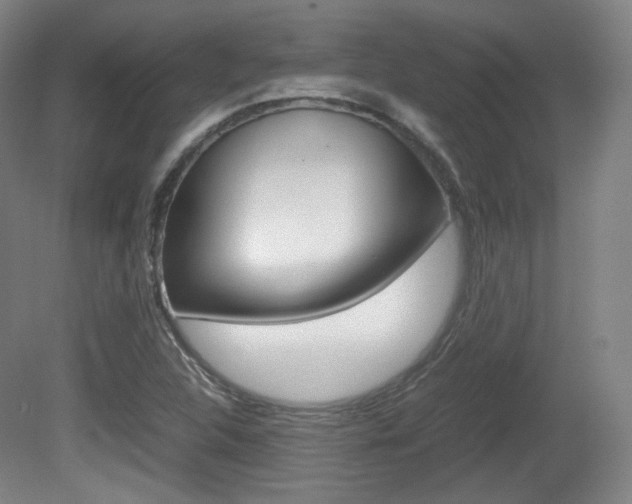 X0000080781312200612151021