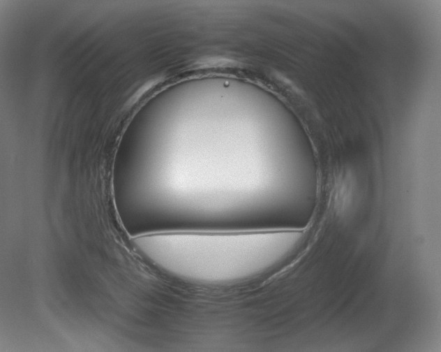 X0000080781313200612151021