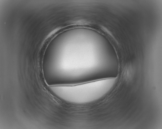 X0000080781315200612151021