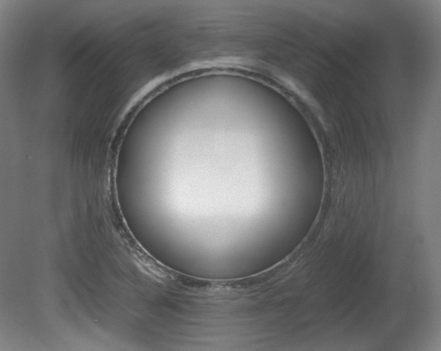 X0000080781316200612151021