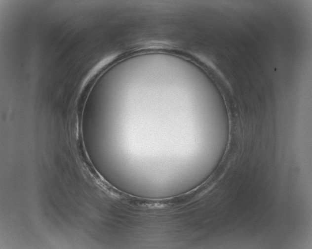 X0000080781317200612151021