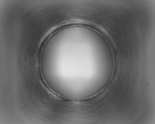 X0000080781318200612151021