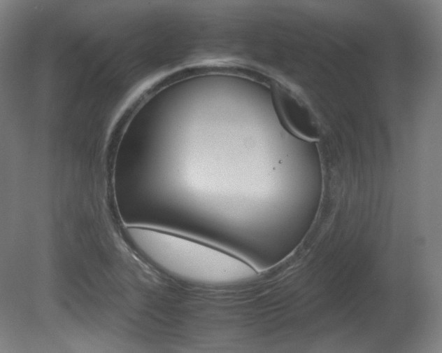 X0000080781319200612151021