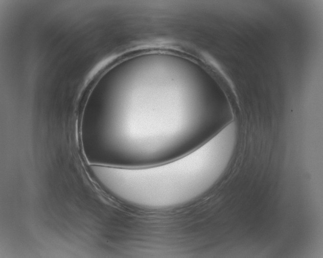 X0000080781320200612151021