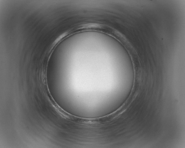 X0000080781321200612151021