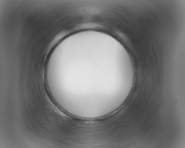 X0000080781322200612151021