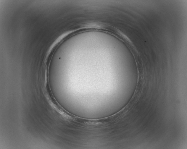 X0000080781323200612151021