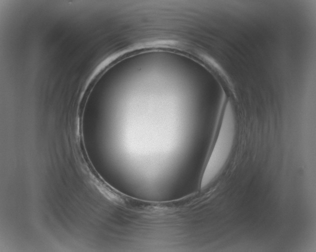 X0000080781324200612151022