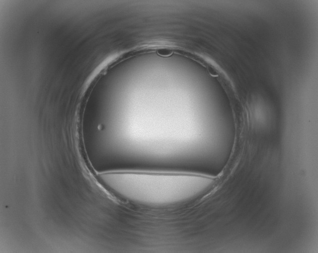 X0000080781325200612151022