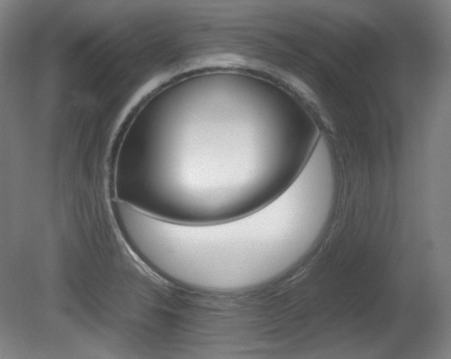 X0000080781326200612151022