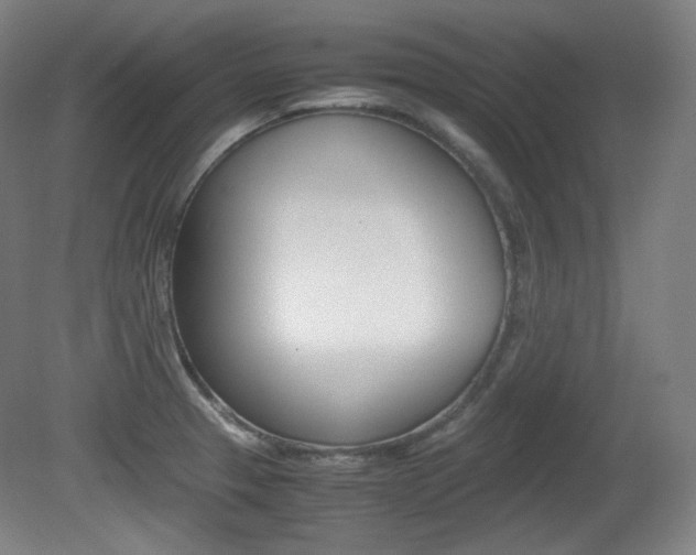 X0000080781329200612151022