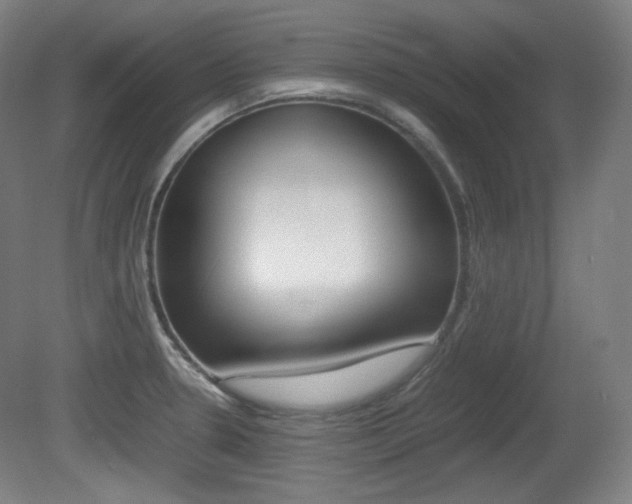 X0000080781330200612151022