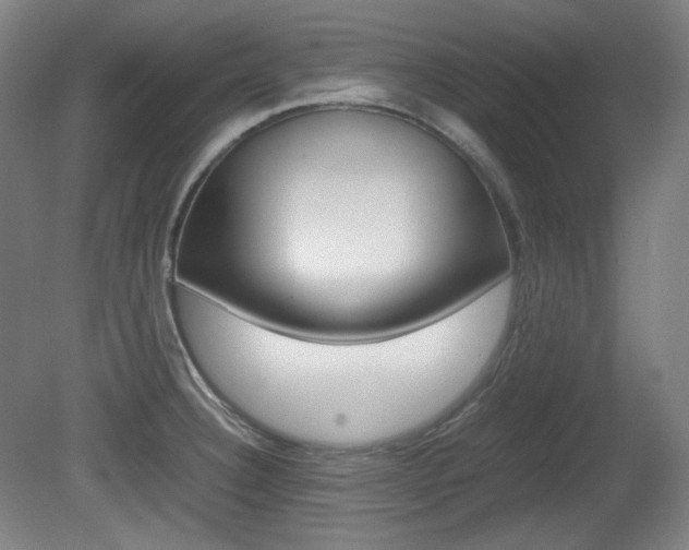 X0000080781332200612151022